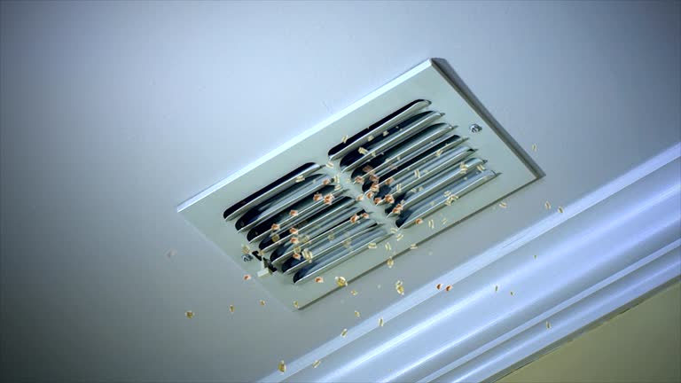 Best Duct Cleaning for Offices  in Goodhue, MN