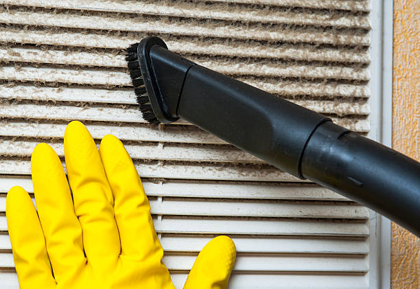 Best Air Vent Cleaning Services  in Goodhue, MN
